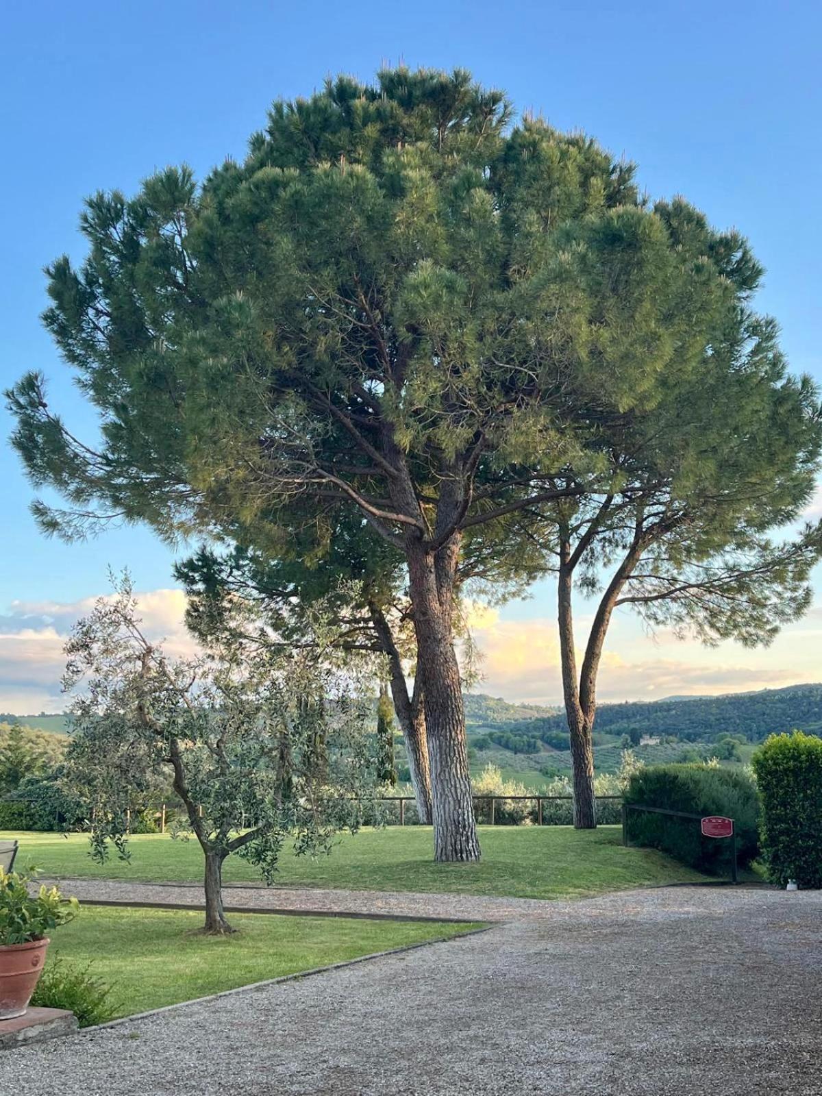 Вилла Fattoria Abbazia Monte Oliveto Сан-Джиминьяно Экстерьер фото